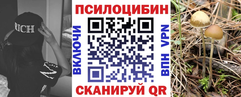 Псилоцибиновые грибы MAGIC MUSHROOMS Ядрин